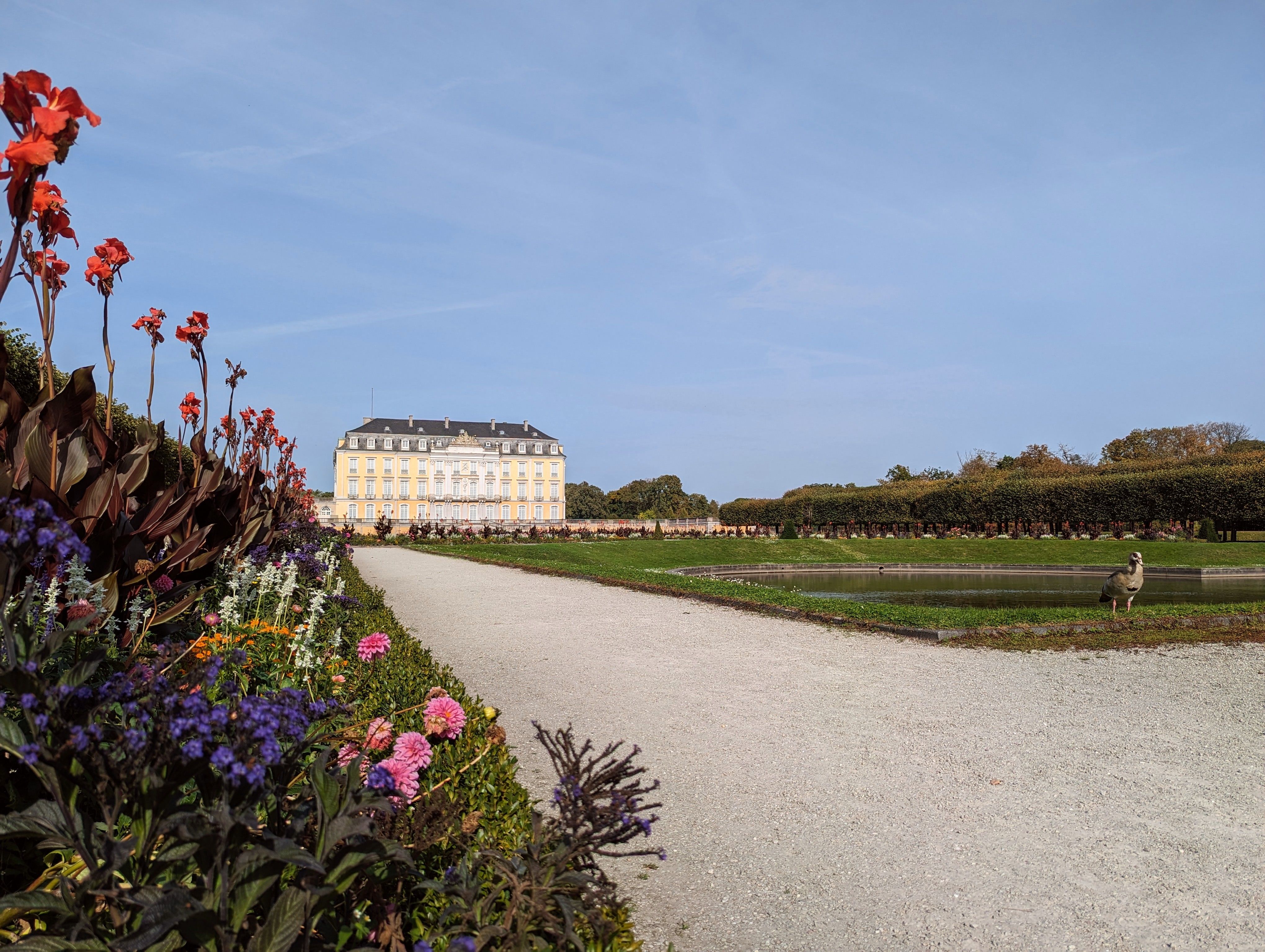 Das Gartenparterre südlich vor Schloss Augustusburg gilt als französischster formaler Garten jenseits von Frankreich.