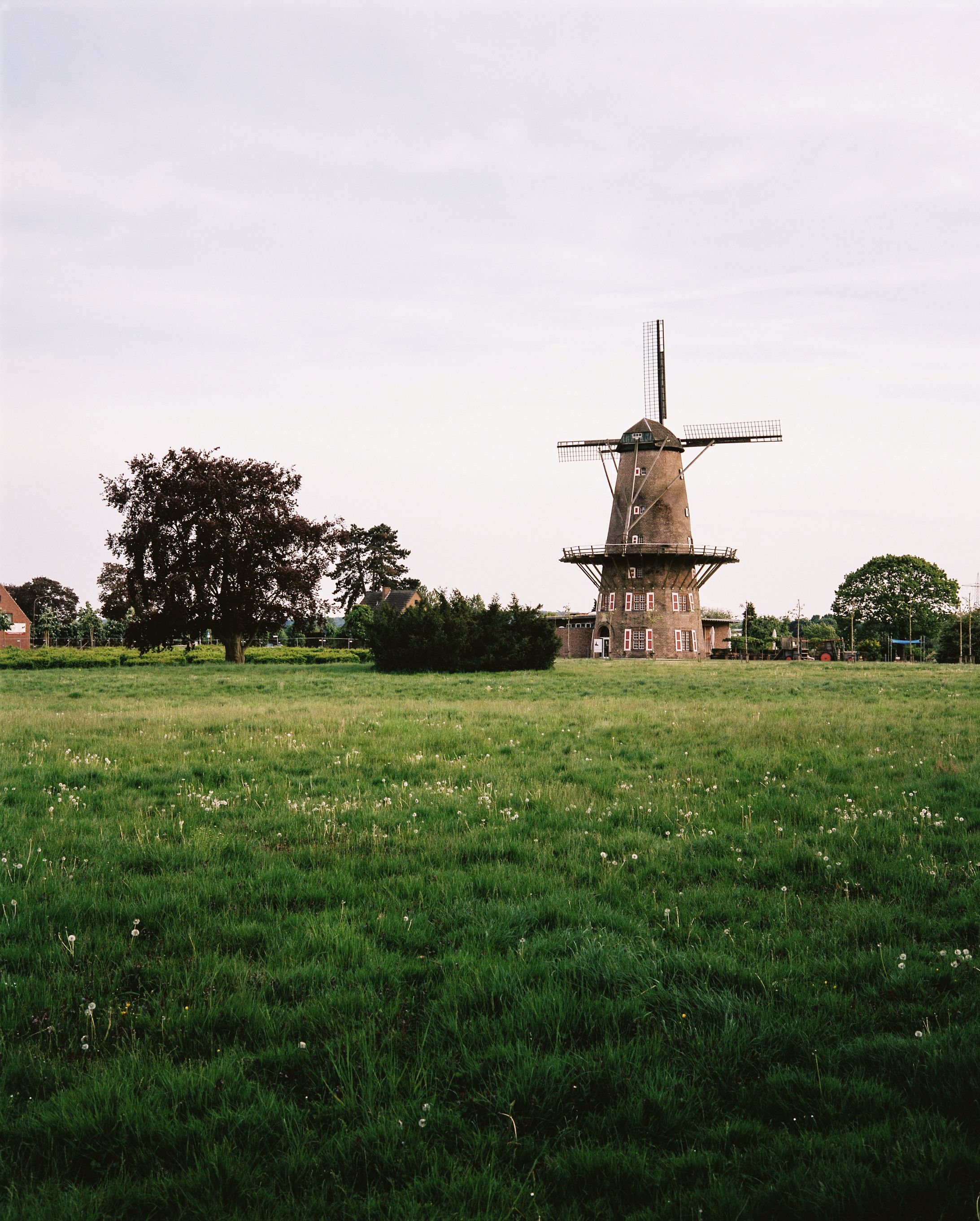 Molle&Korn, Henri Schade, Xantener Mühle aus der Ferne auf einem grünen Feld.