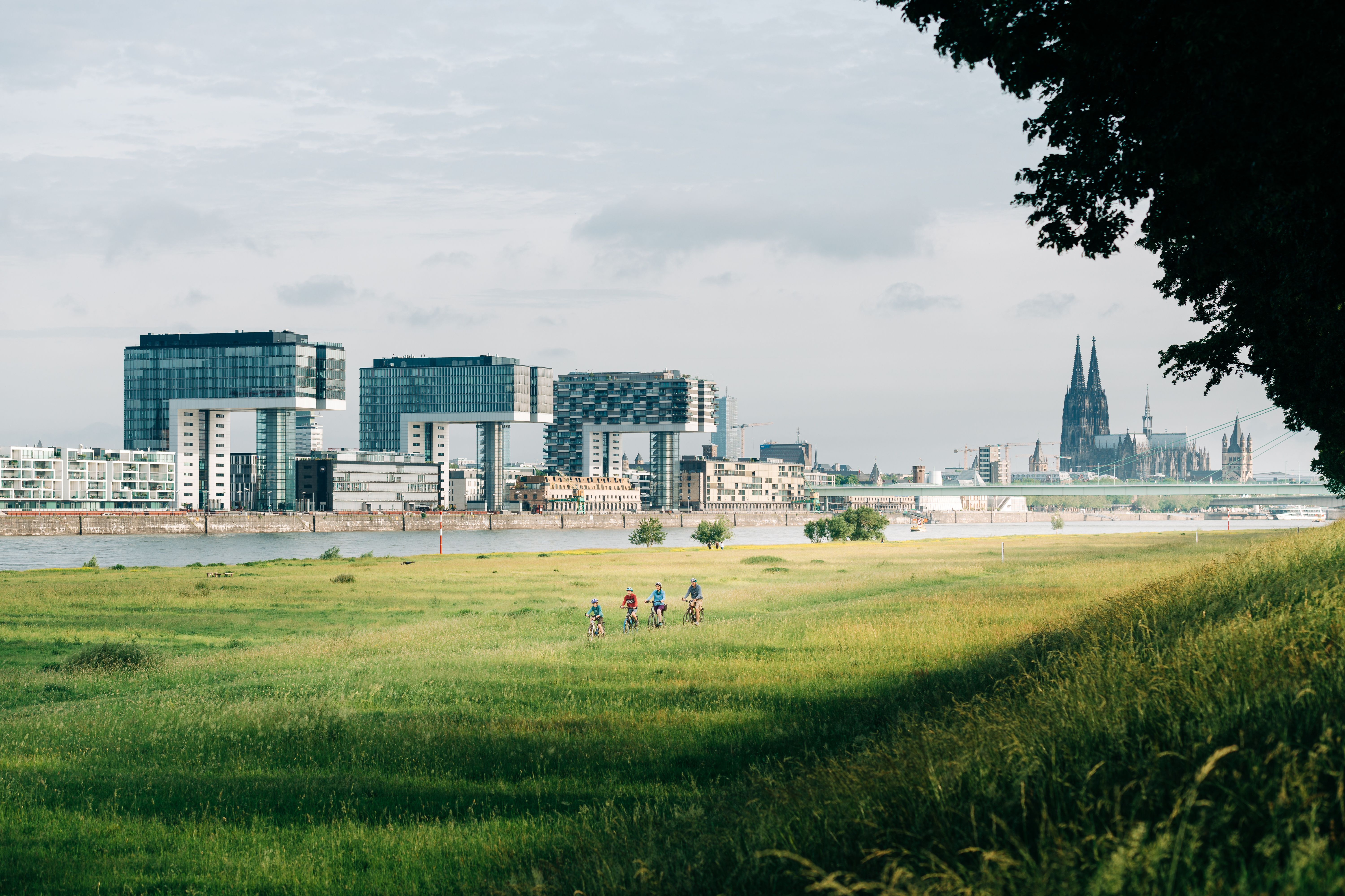 Radfahrer auf den Pollerwiesen