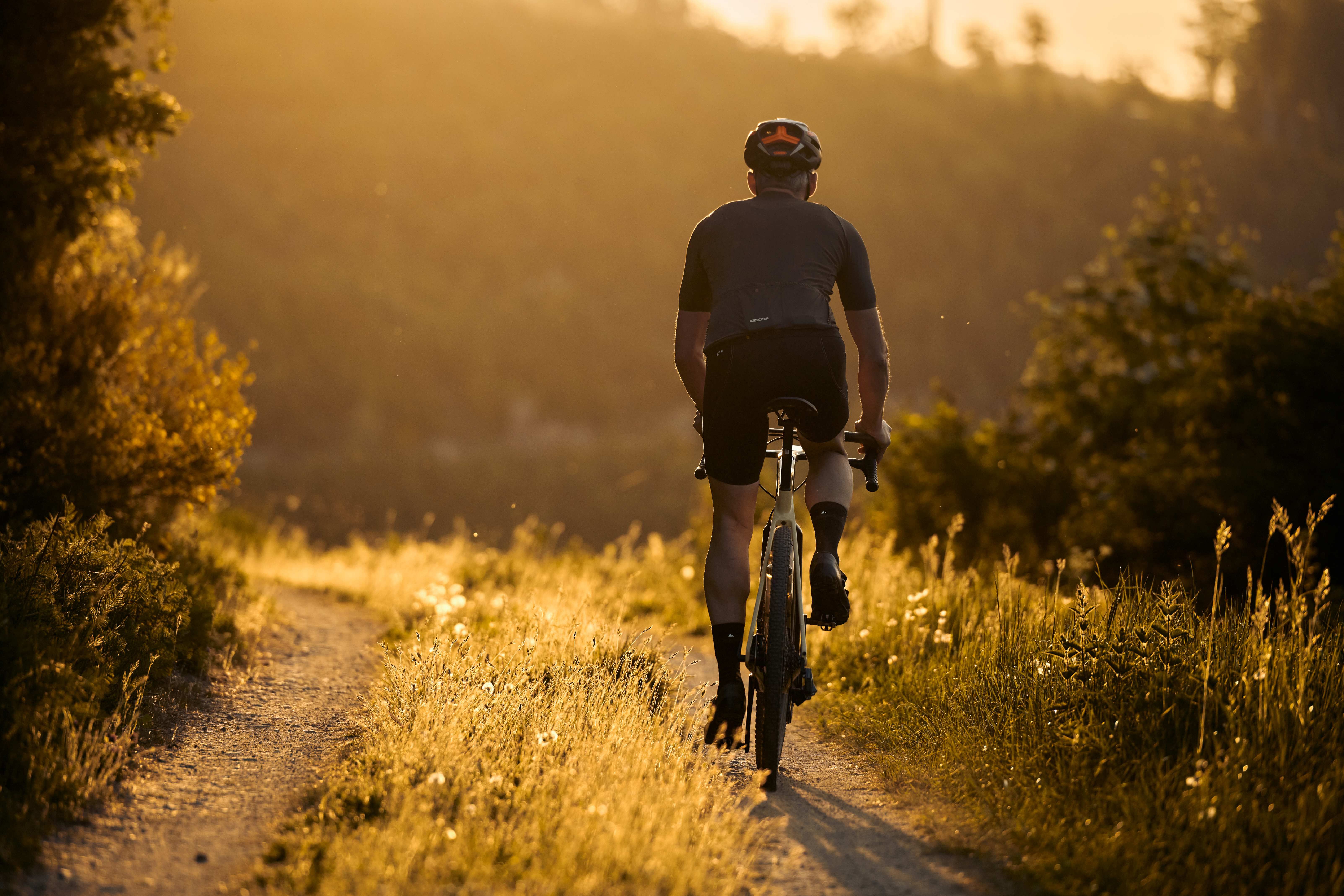 Zwei Personen fahren mit Gravelbikes auf einem Waldweg.