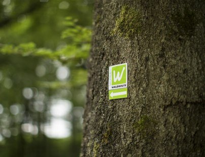 Erkennungszeichen der Sauerland-Waldroute, © Sauerland-Tourismus e.V.