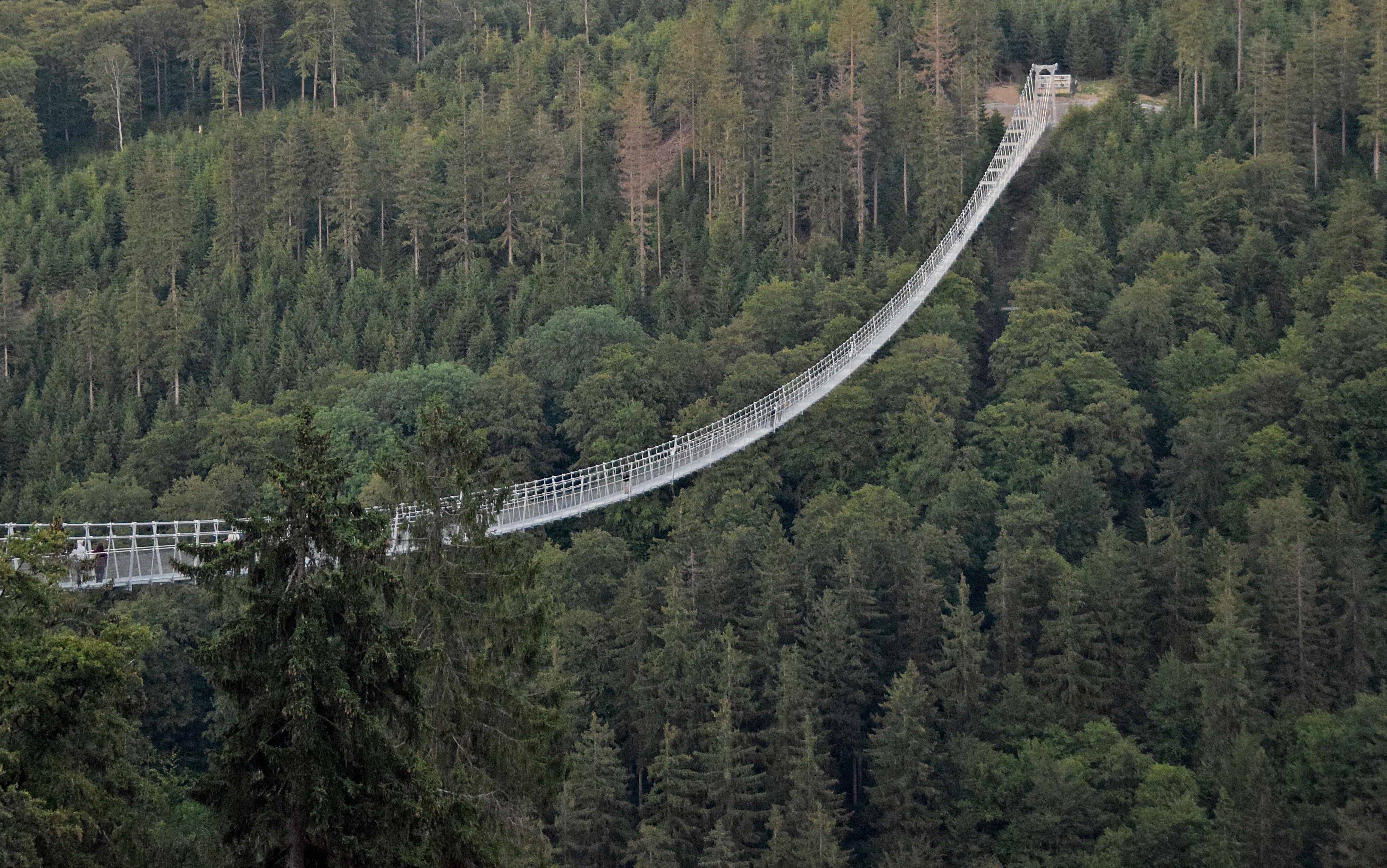 Die Hängebrücke überspannt ein bewaldetes Tal im Sauerland