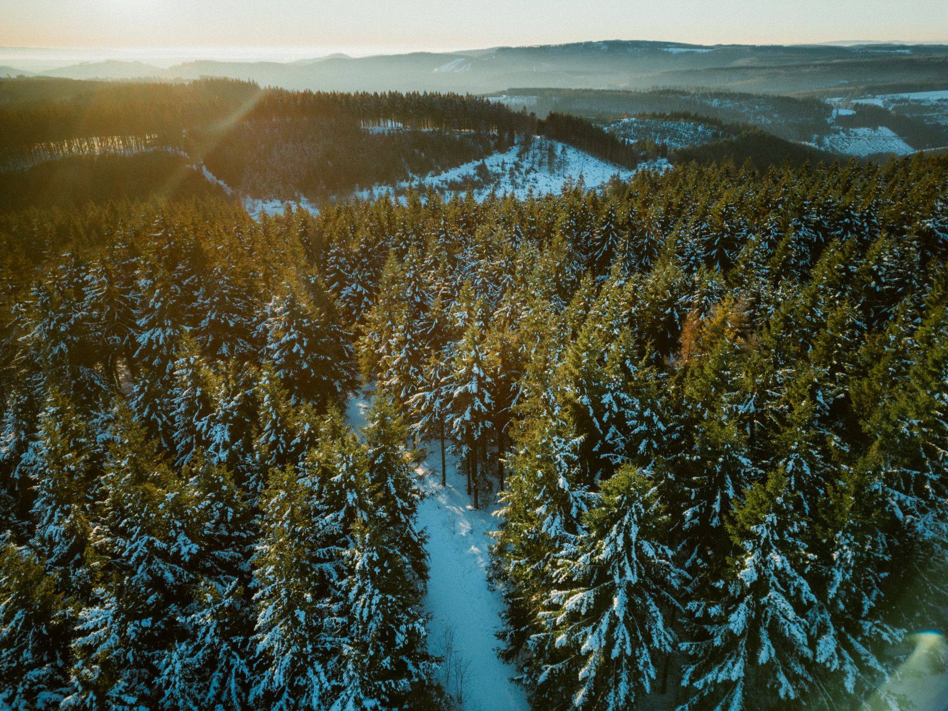 Schneebedeckte Baumkronen eines Fichtenwaldes