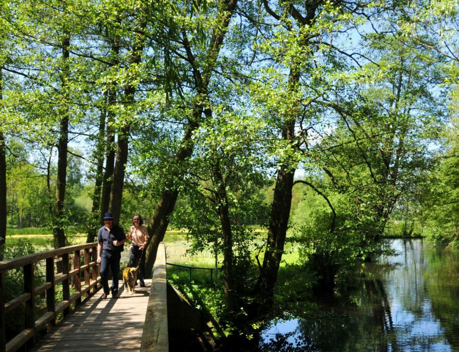 Zwei Personen mit Hund auf einer Holzbrücke im Naturpark Maas-Schwalm-Nette.