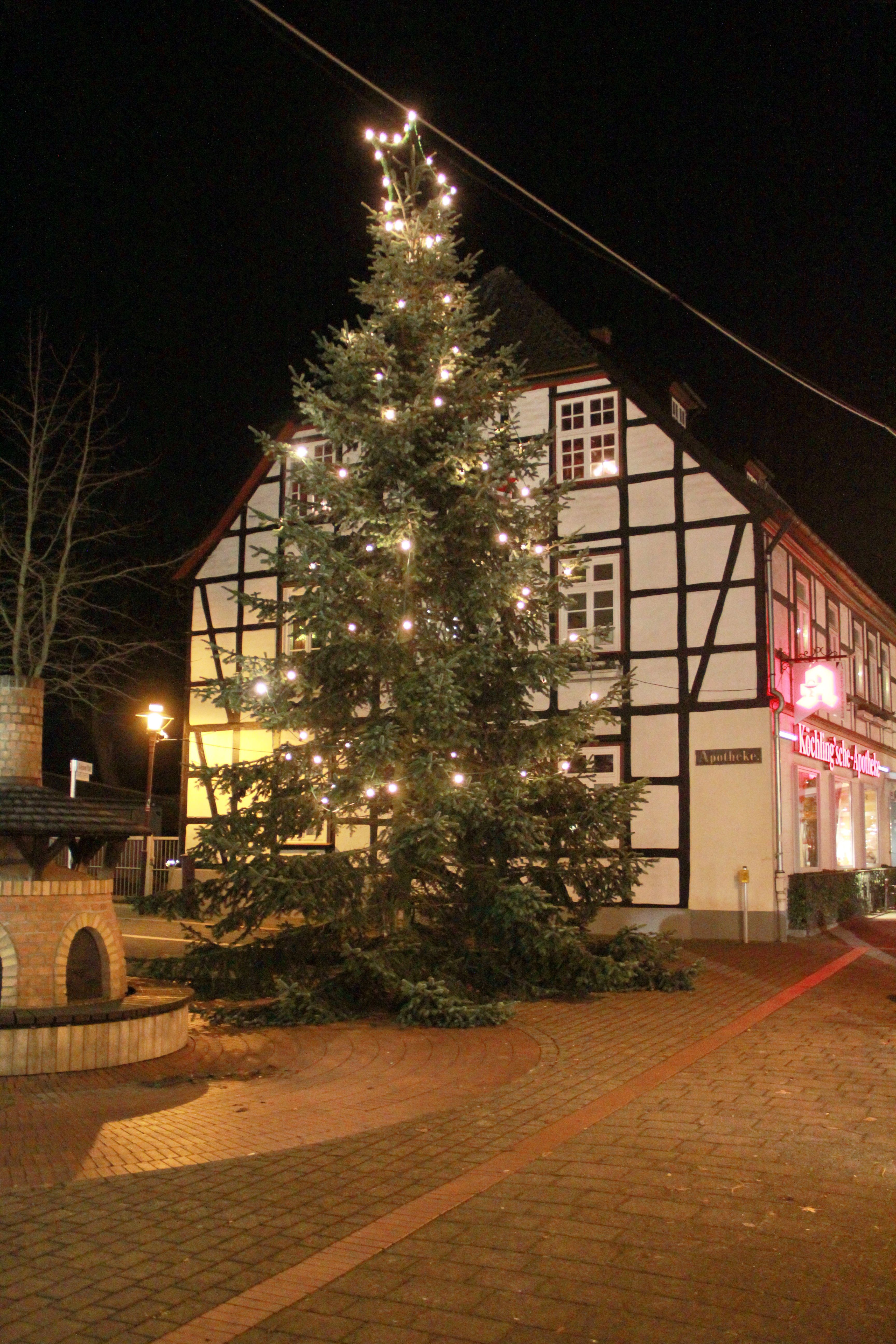 Ein beleuchteter Weihnachtsbaum steht vor einem Fachwerkhaus bei Nacht.