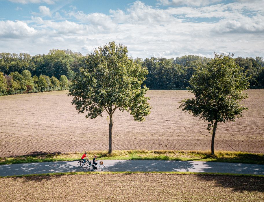 Zwei Radfahrer auf einem Weg zwischen Feldern und Bäumen. Mit dem Reiseangebot kann die 163 km lange Friedensroute bequem in fünf Tagen erlebt werden.