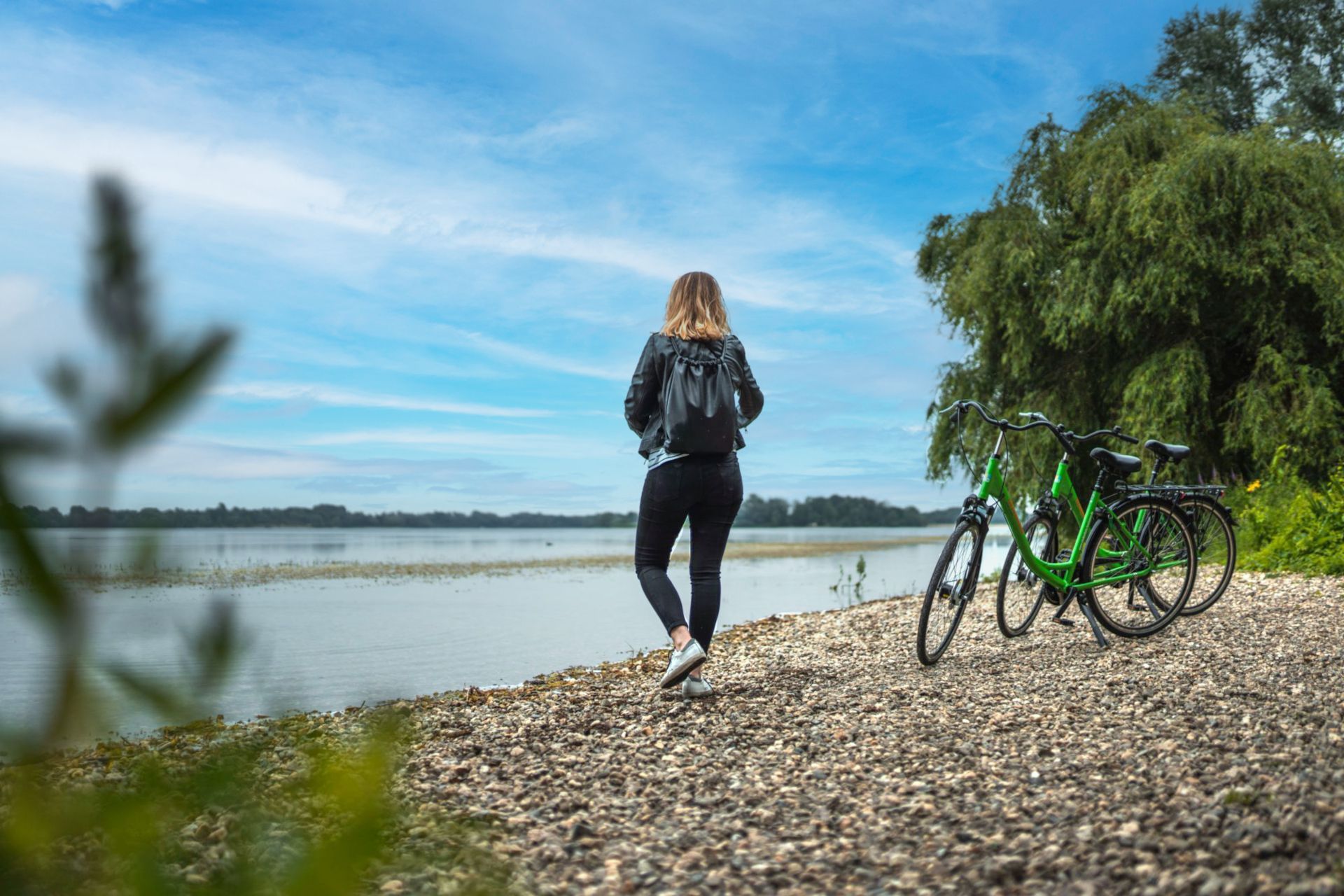 Bei der Fahrradtour entlang der Flüsse Rhein, Lippe und Issel entdecken Reisende die Schönheit und Artenvielfalt des Niederrheins