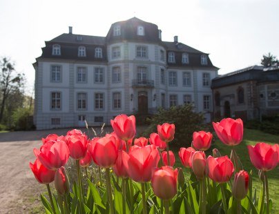 Schloss Türnich im Frühling mit roten Tulpen, © Tourismus NRW e.V., Ralph Sondermann