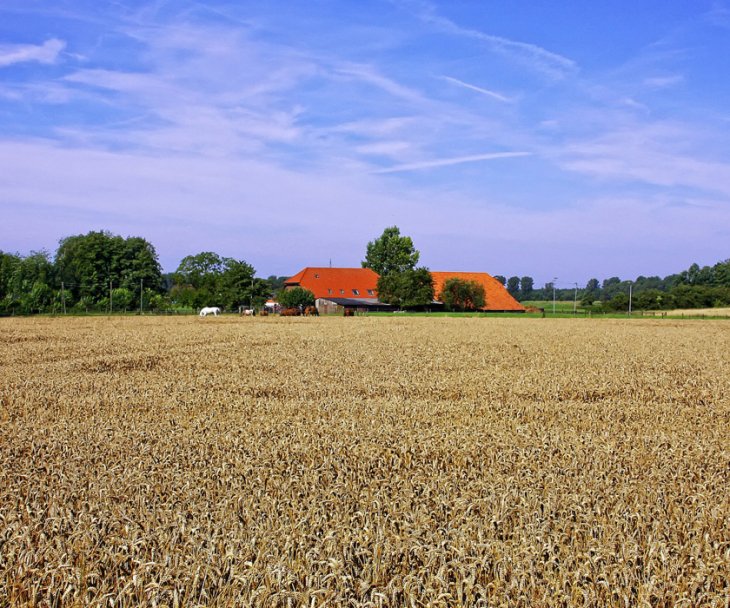 Die niederrheinische Landschaft besticht durch ihre Weite, © Pixabay