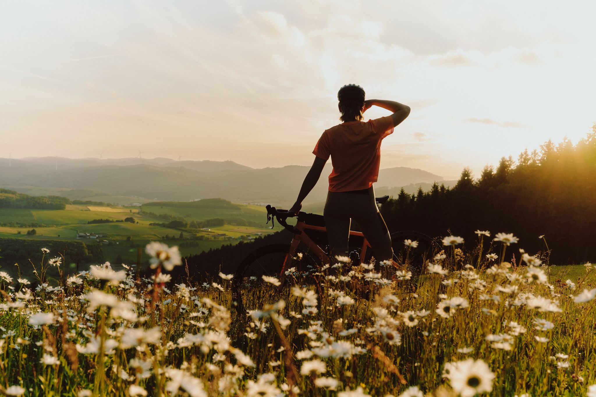 Eine Person mit Fahrrad steht in einem Feld voller Blumen und blickt in die Ferne, während die Sonne untergeht.