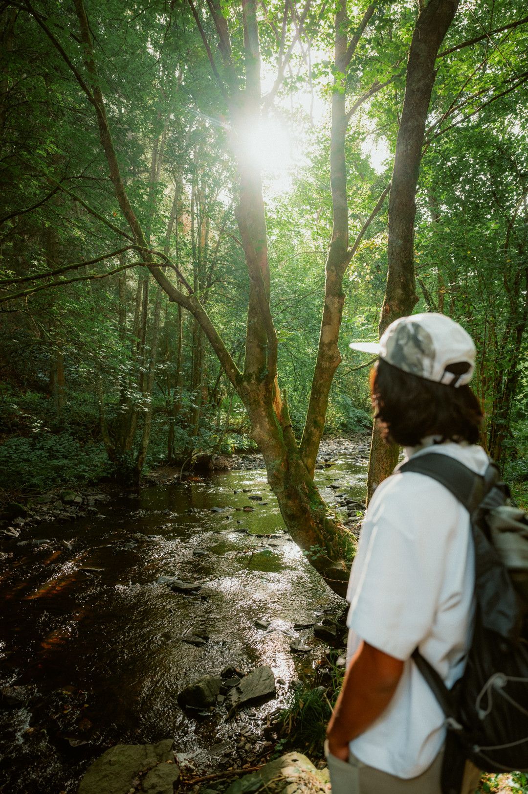 Rur bei Monschau in der Eifel
