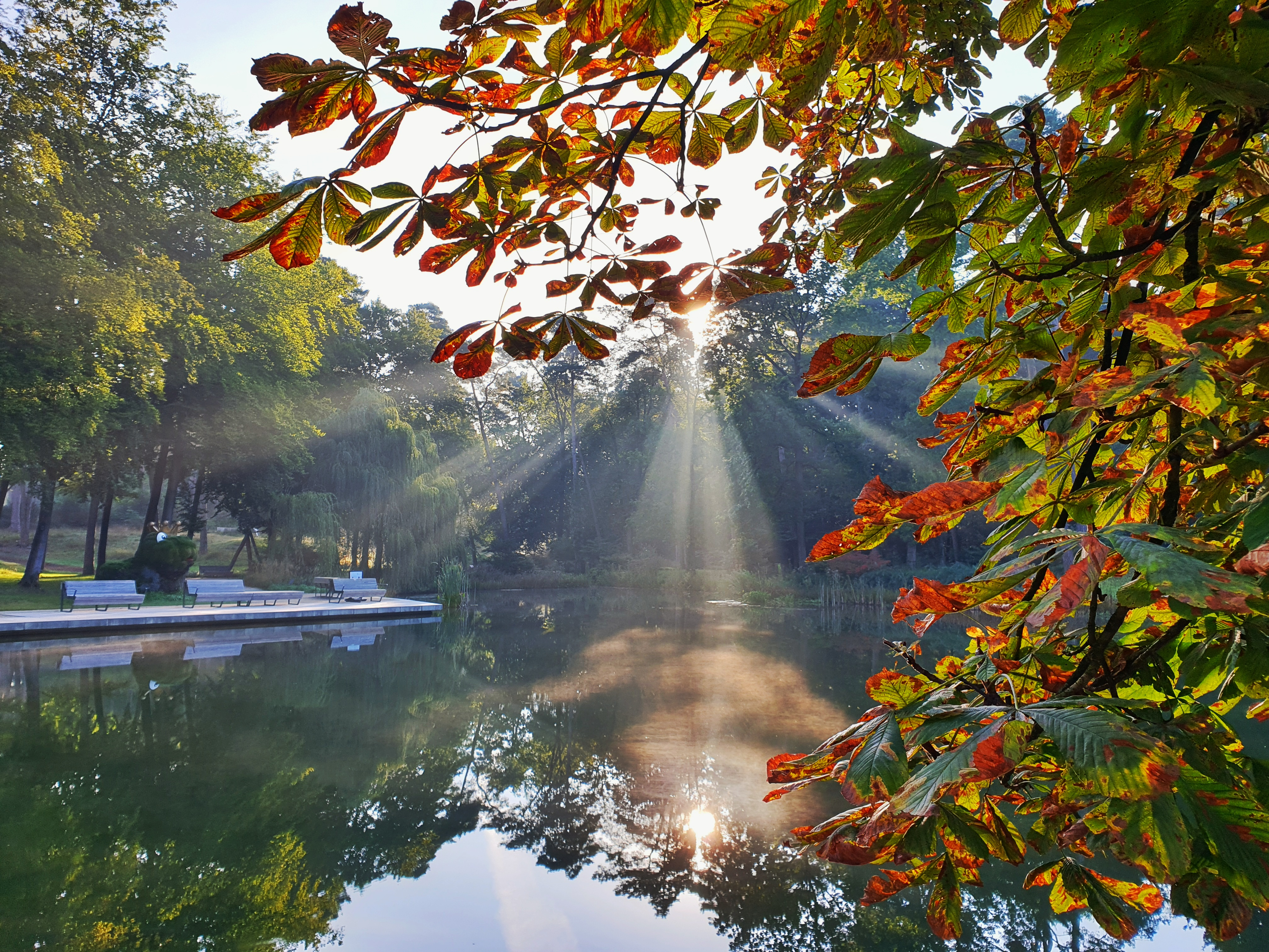 Das Licht bricht durch die Baumkronen und spiegelt sich im Wasser der Mersmannteiche im Gartenschaupark Bad Lippspringe
