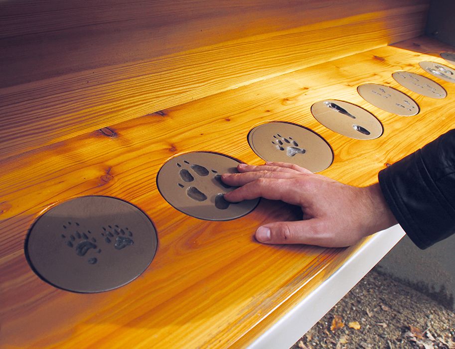 Tierspuren zum Tasten