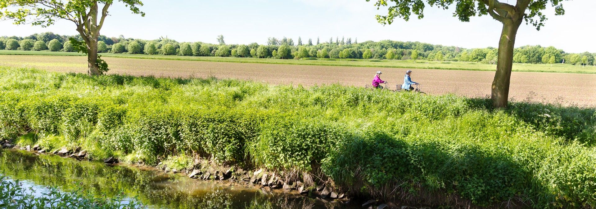 Zwei Radfahrer auf einem Weg entlang der Erft, umgeben von grünen Feldern und Bäumen.