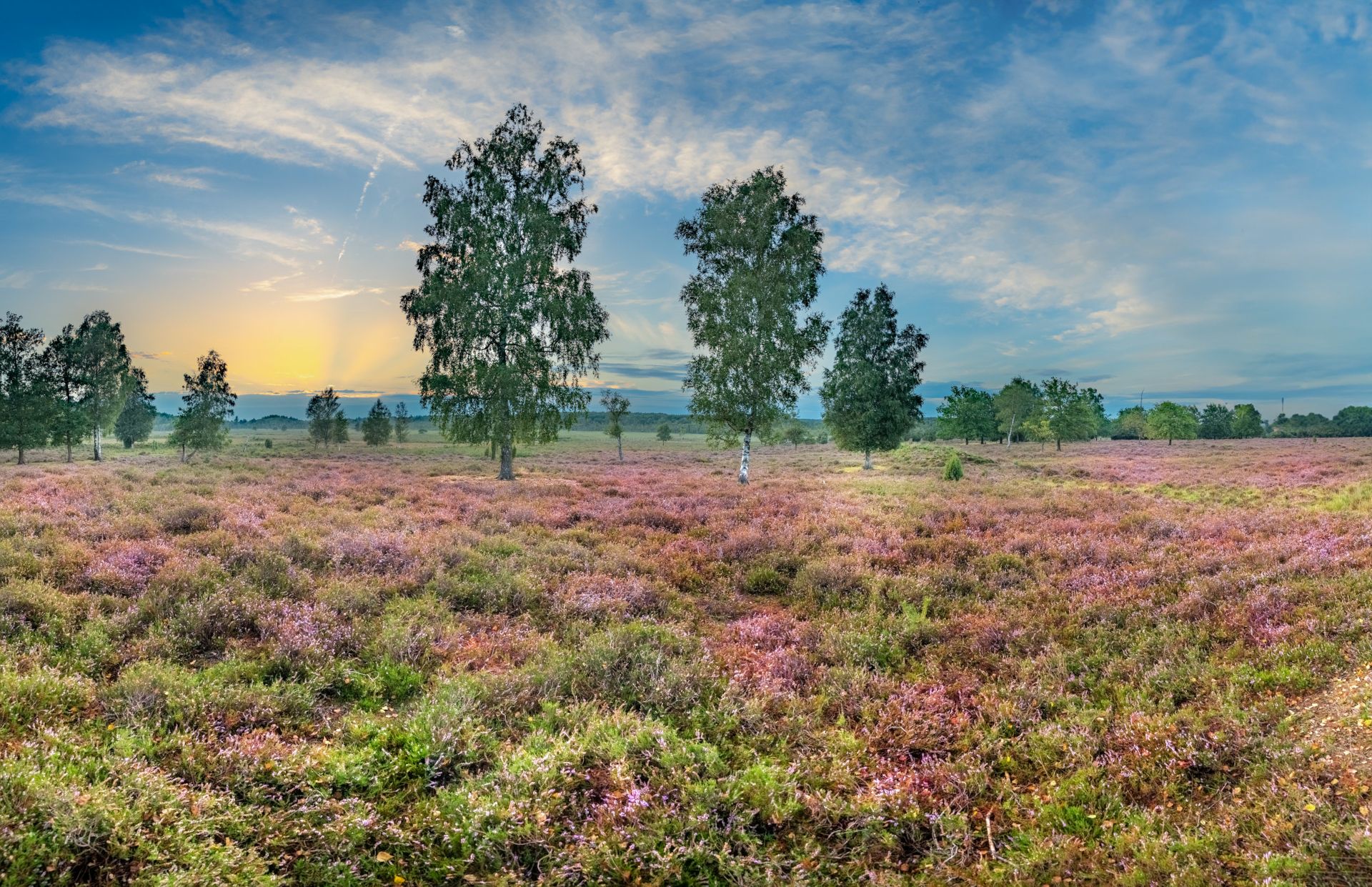 Zur Seite Radeln im Naturpark Maas-Schwalm-Nette