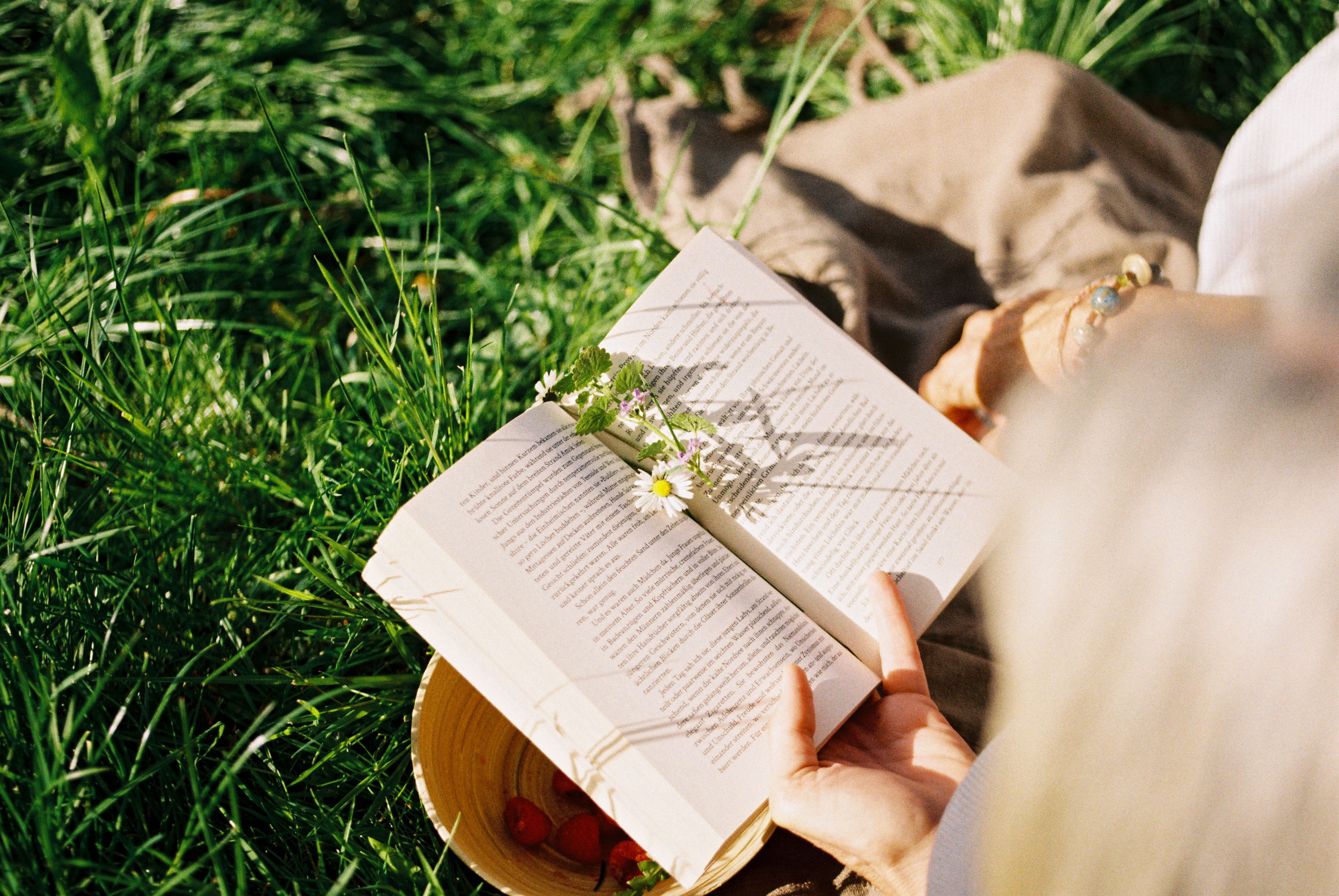 Molle & Korn, Henri Schade, Person liest Buch auf einer Wiese in Brilon.