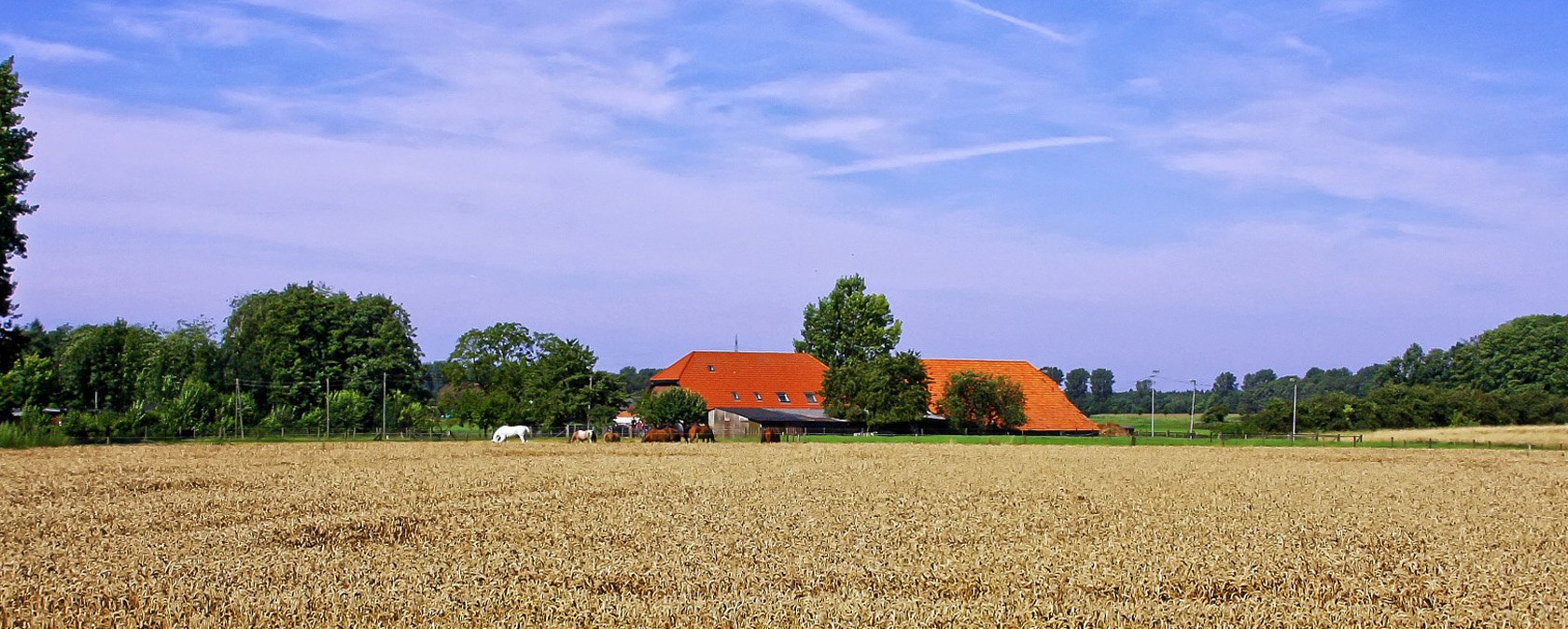 Aussicht in die niederrheinische Landschaft, © Pixabay