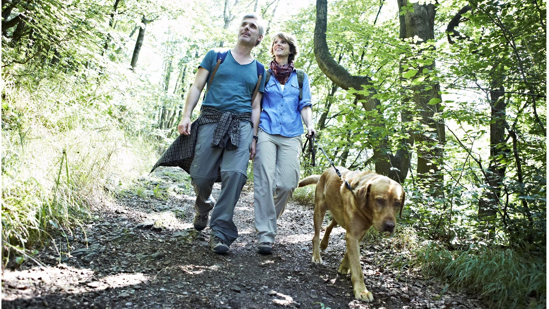 Ein Paar geht mit einem Hund auf einem Wald Pfad spazieren.