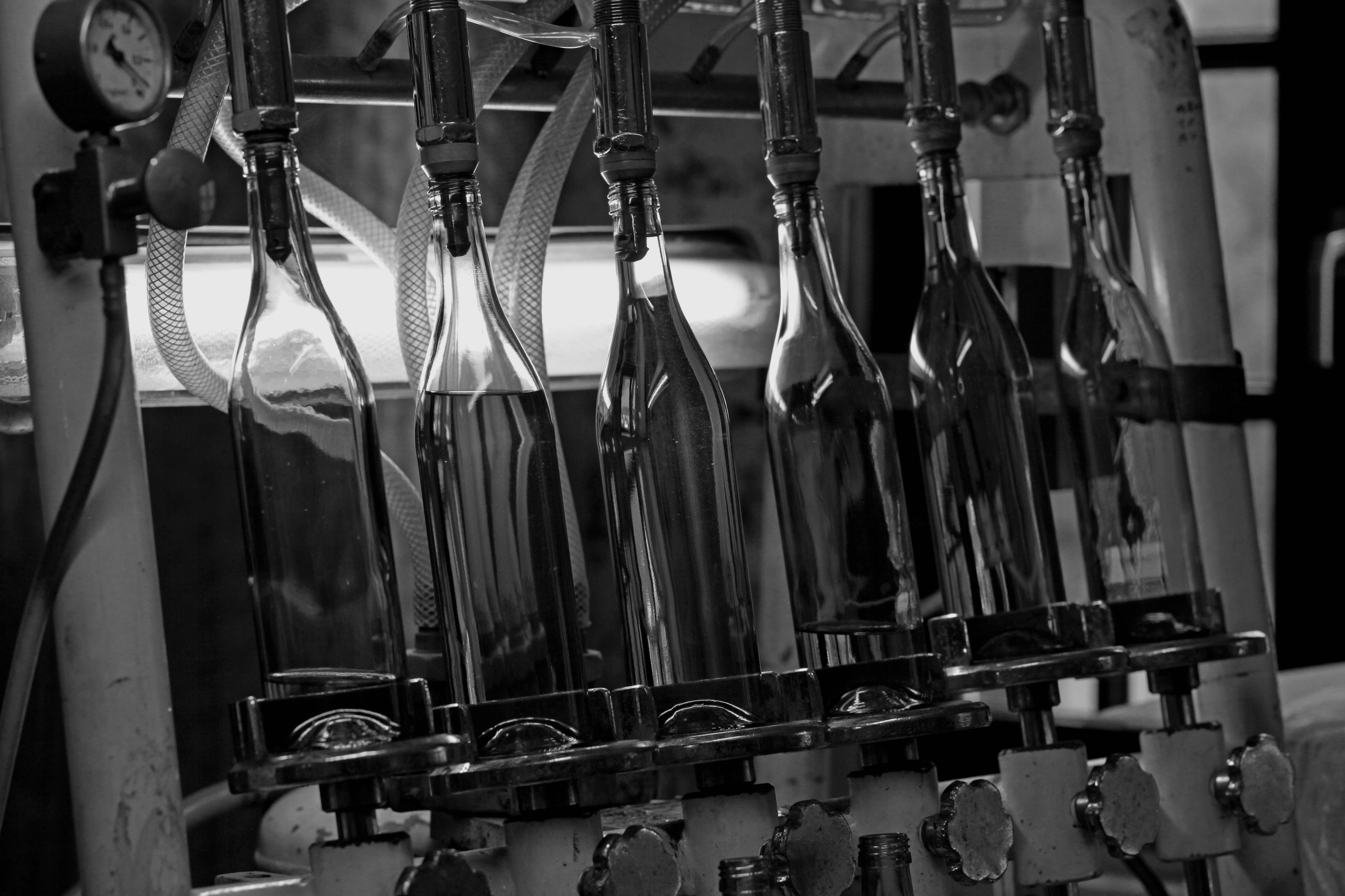 Der Korn der Kornbrennerei Böckenhoff wird in Glasflaschen abgefüllt