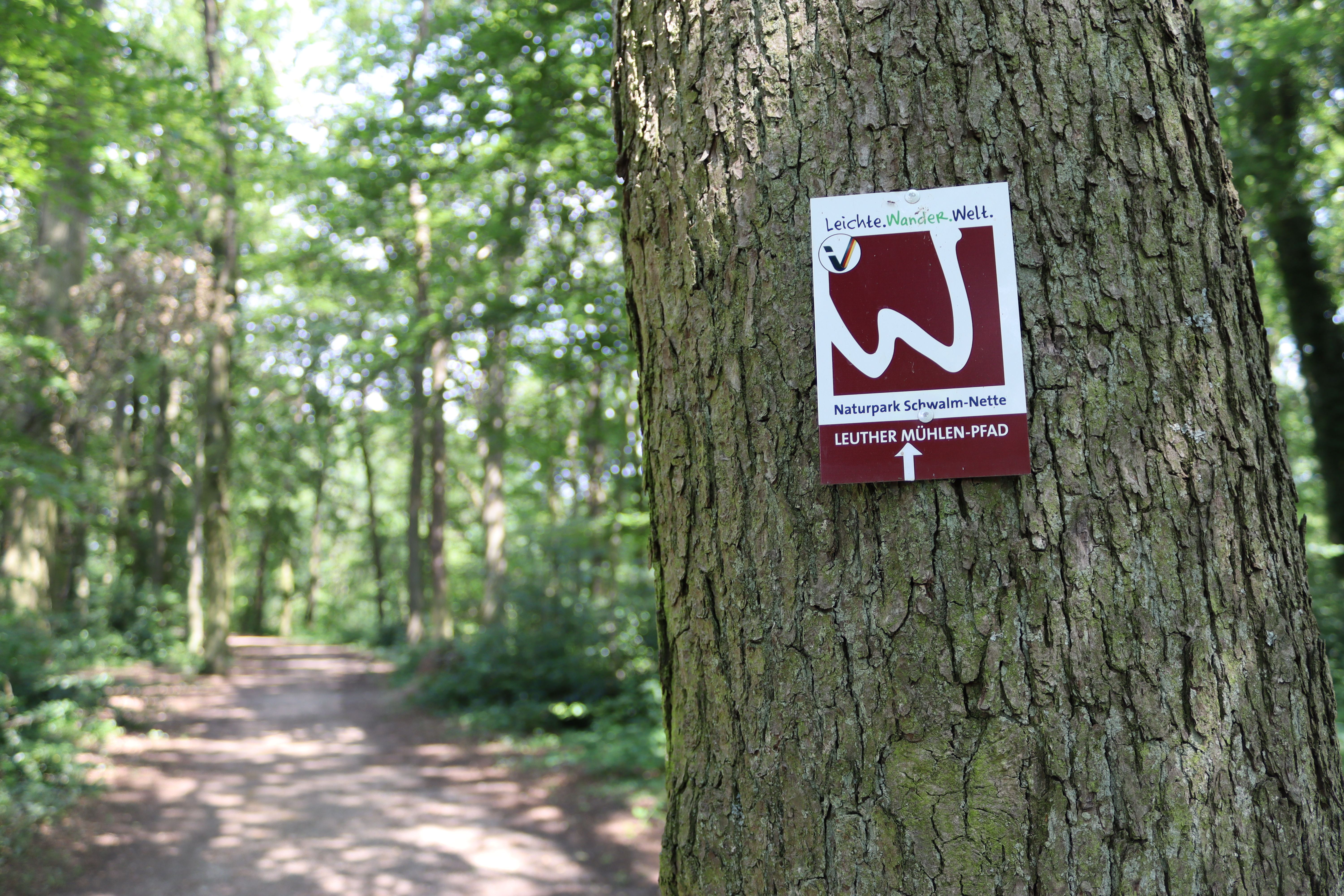 Leuther Mühlen-Pfad_A3_Markierungsschild an Baum