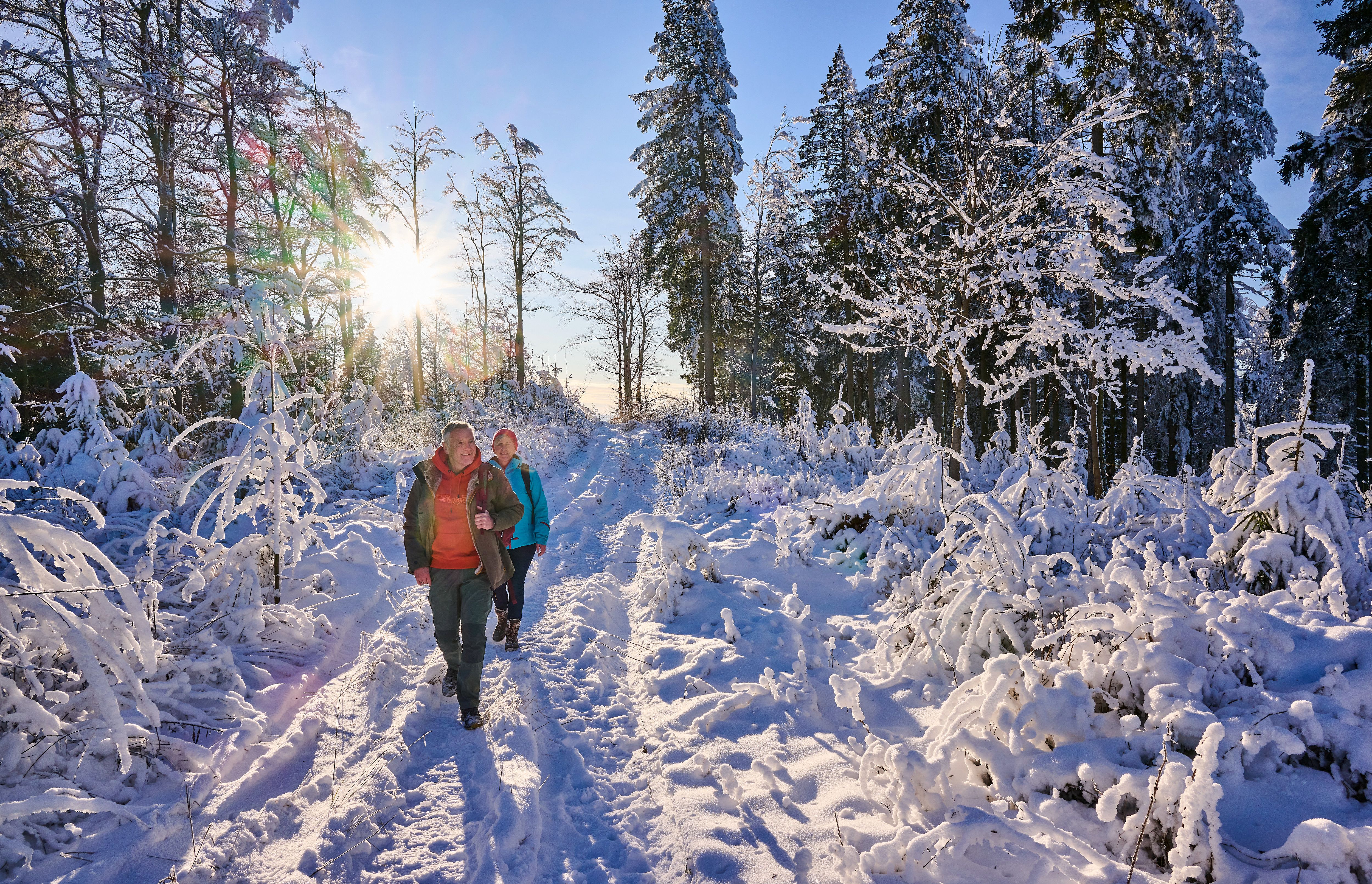Zur Seite Sauerland-Höhenflug: Über die Nordhelle und durch wilde Moore