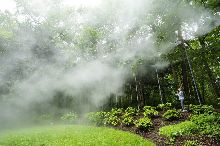 Nebel im Park