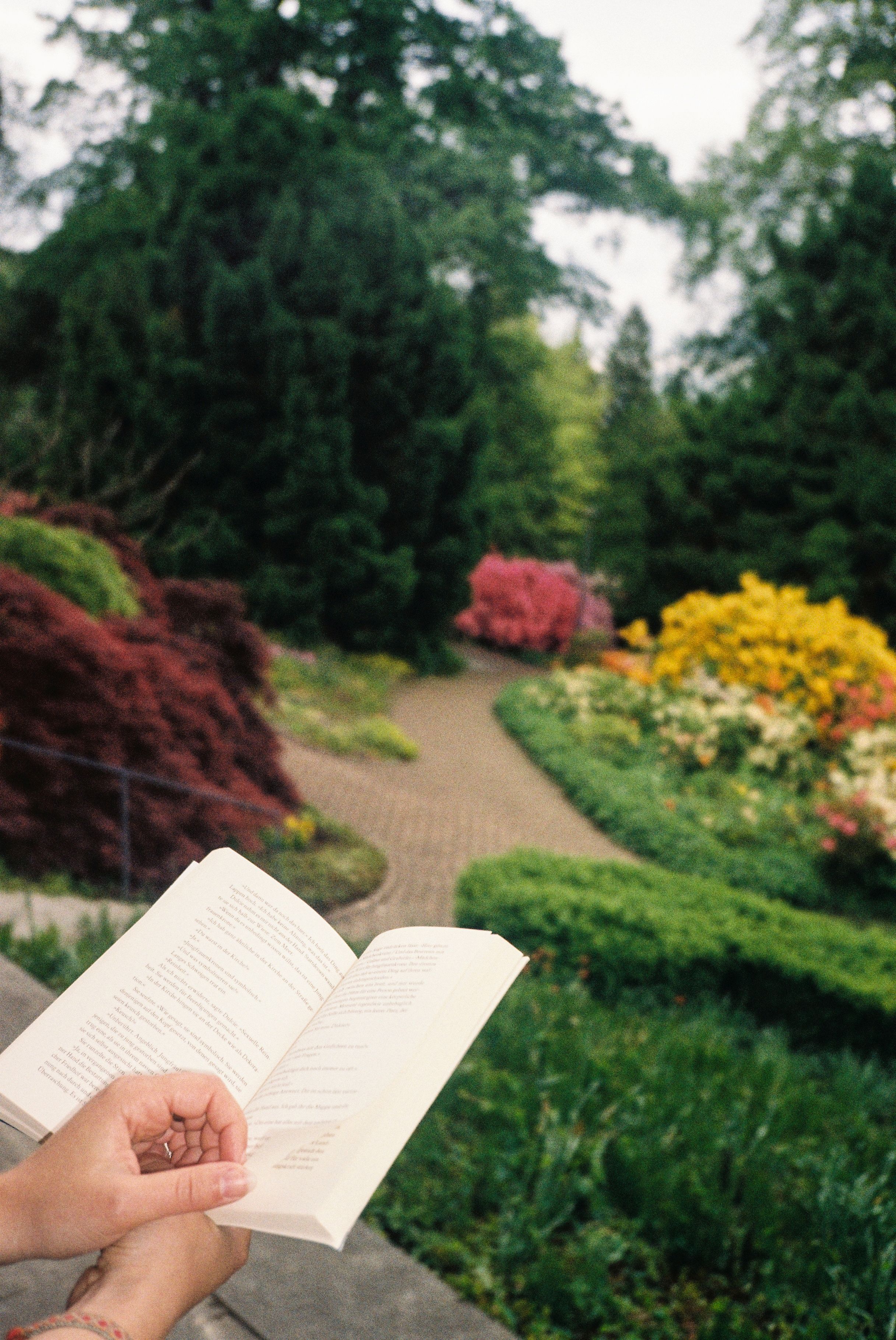 Hände halten ein offenes Buch vor einer Parkanlage mit Blumenflächen im Botanischen Garten in Bielefeld.