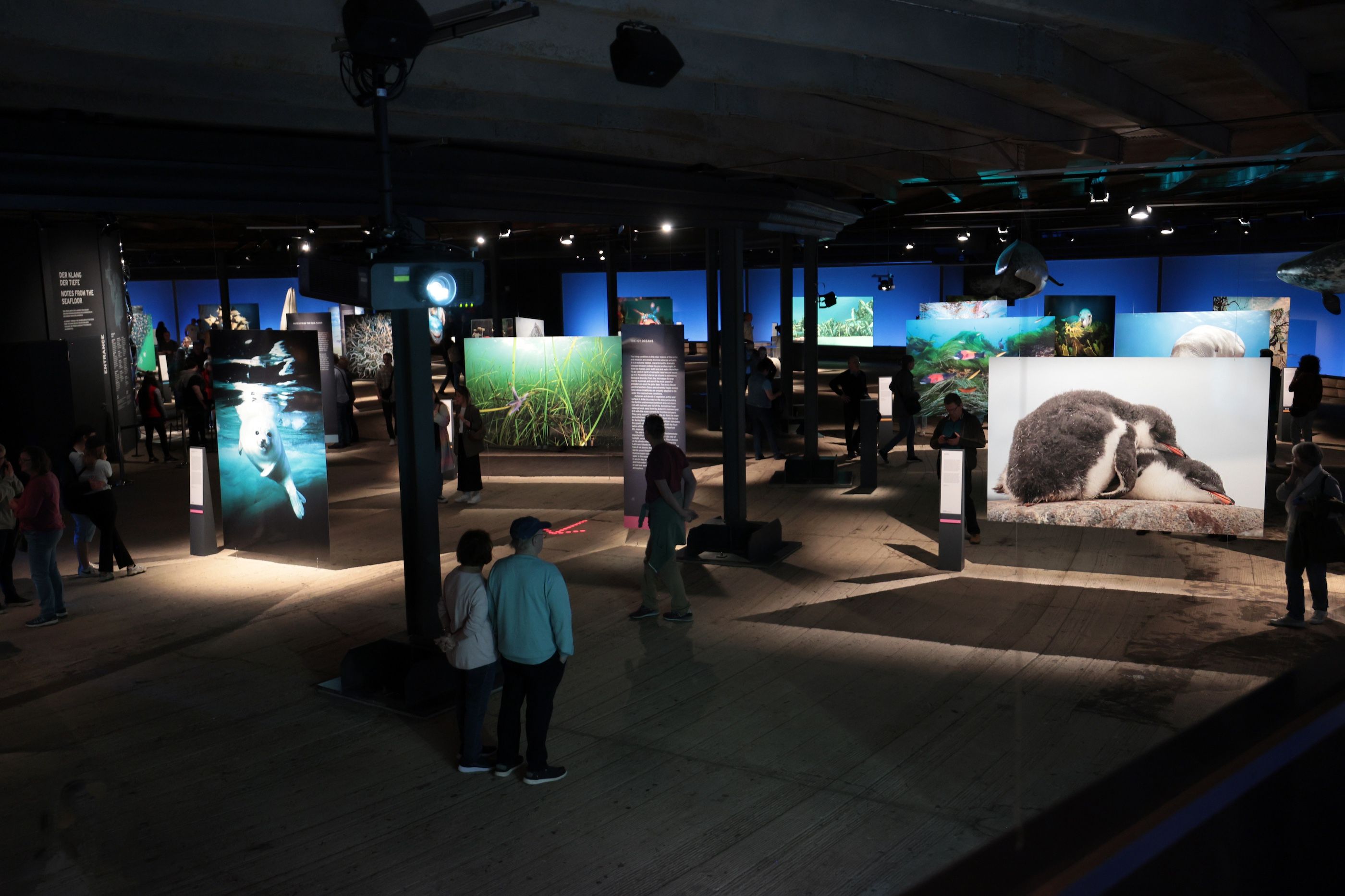 Blick in die Ausstellung "Planet Ozean"