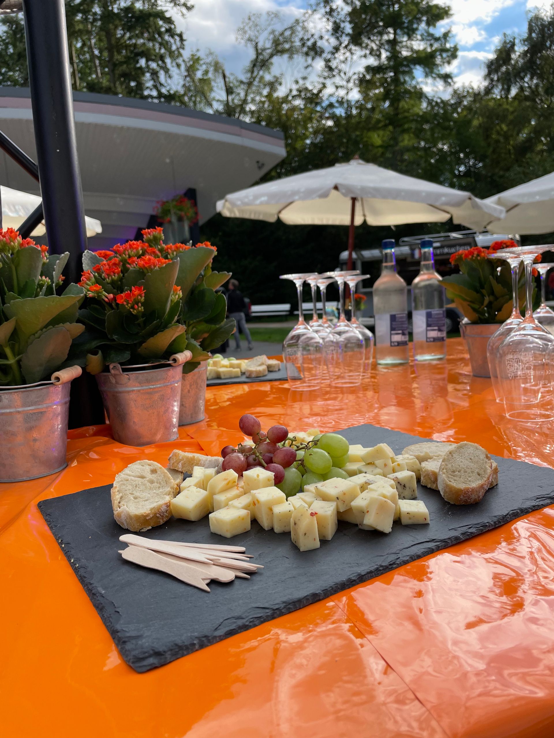 Zur Seite Weinliebe in Bad Waldliesborn