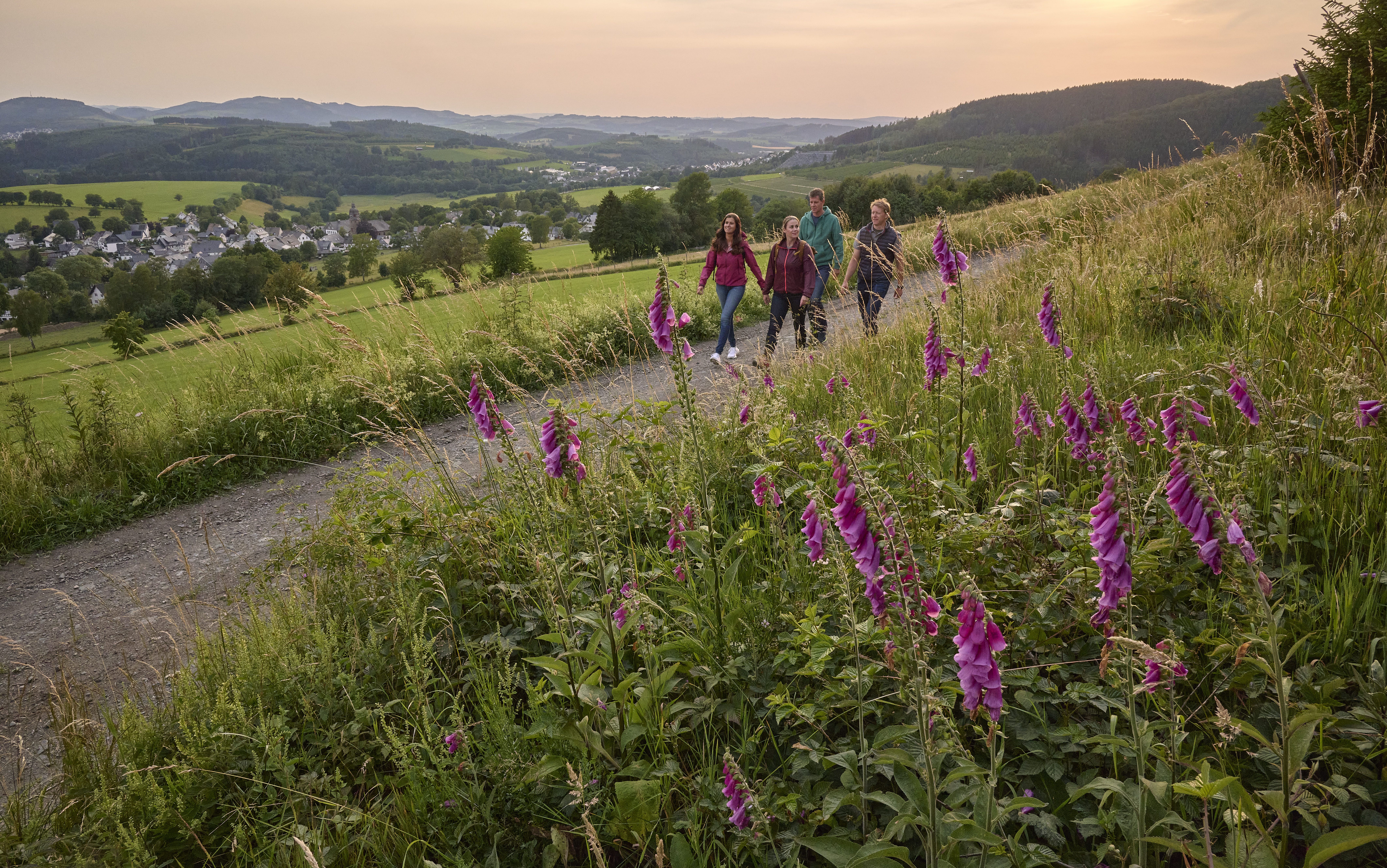 Vier Personen wandern im Abendlicht durch die Landschaft von Holthausen.