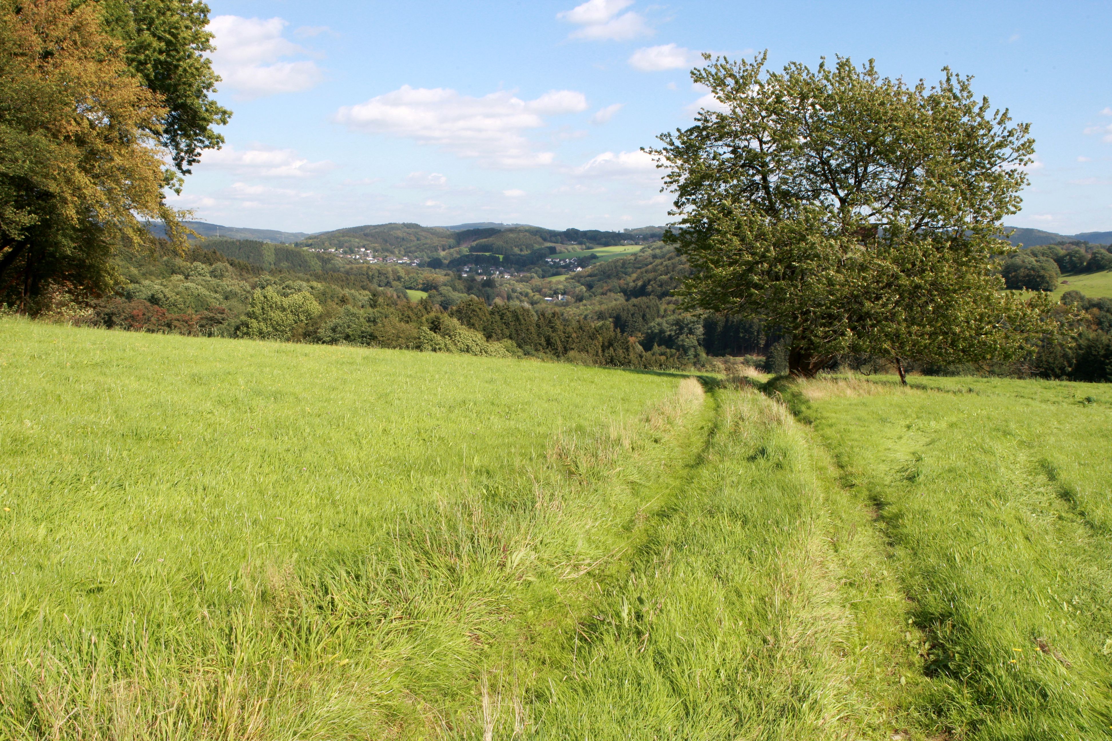 Bergischer Panoramasteig im Leppetal