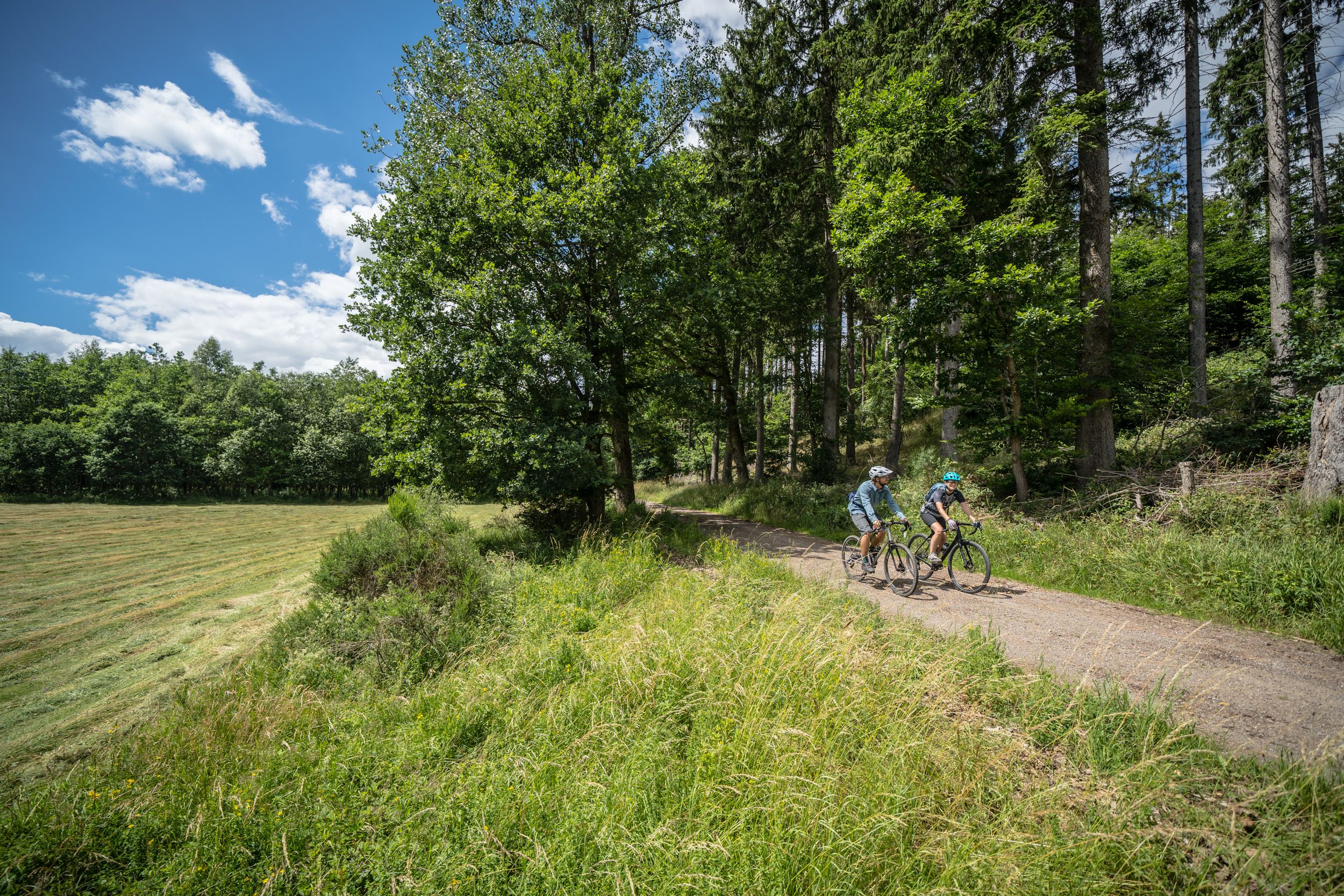 Zwei Radfahrer auf einem Waldweg in der Eifel.