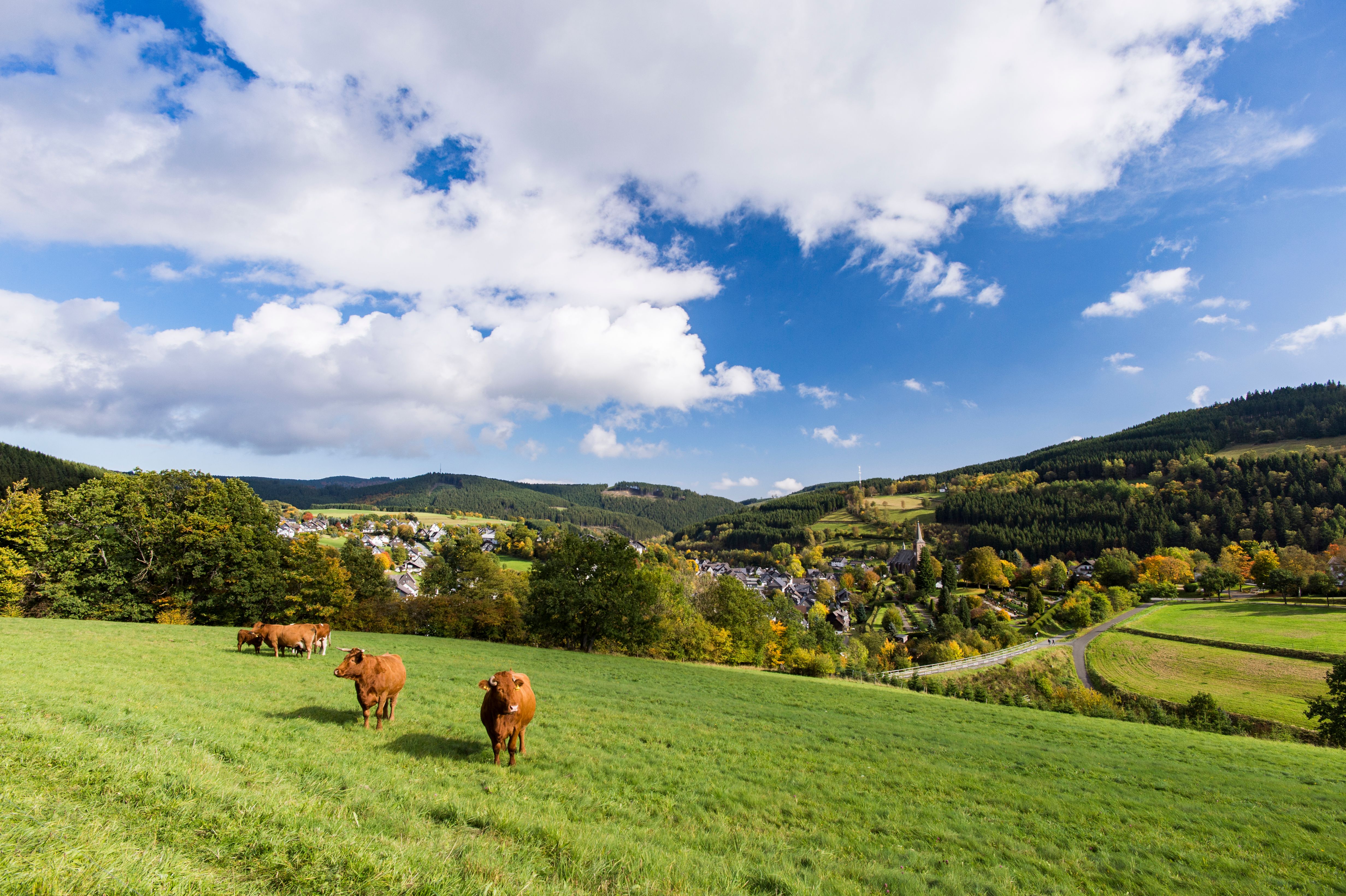 Grüne Wiese mit Kühen im Vordergrund, dahinter ein Dorf und bewaldete Hügel unter blauem Himmel mit Wolken.